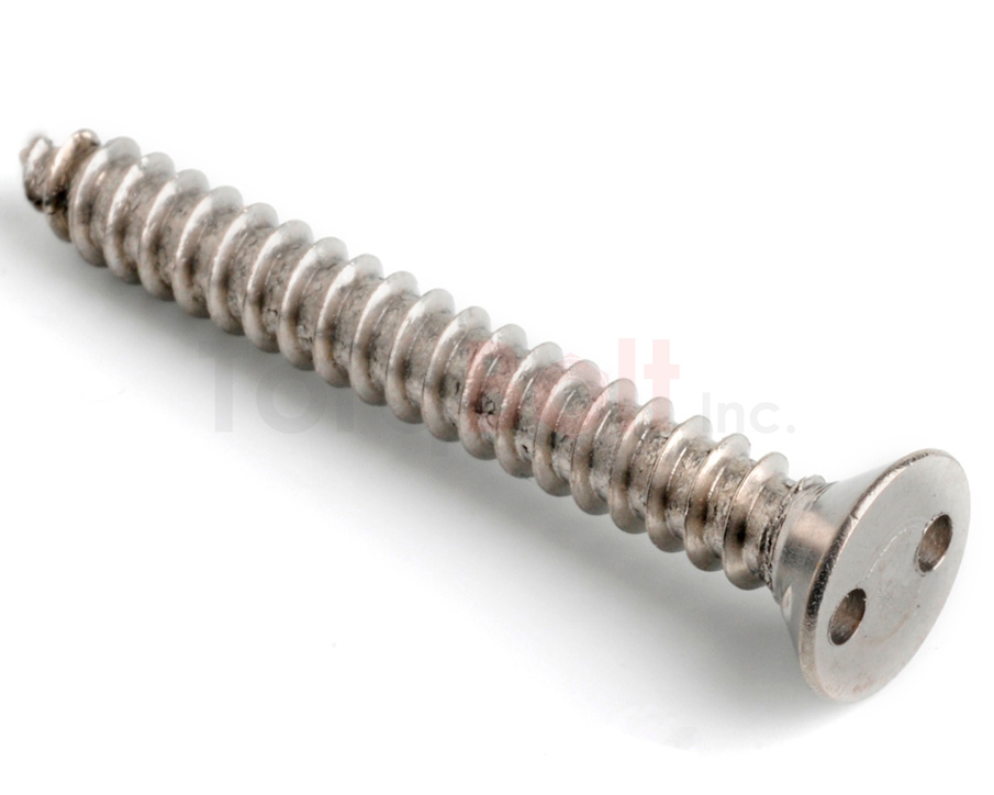2hole Countersunk Self Tapping Security Screws