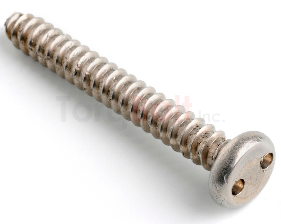 2hole Pan Self Tapping Security Screws