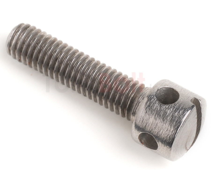 DIN 404 Slotted Capstan Screws
