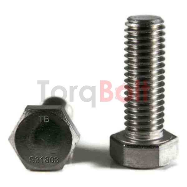 Duplex S31803 Fasteners | Alloy 31803 Fasteners Manufacturer & Supplier India