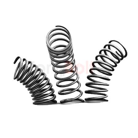 316 Stainless Steel Springs, ASTM A276 condition B, Wire Springs, Flat Springs, Retaining Rings